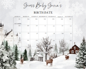 549 Winter Wonderland Baby Shower Calendar 10x8: 549 Winter Wonderland Baby Shower Calendar