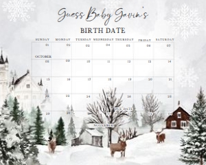 549 Winter Wonderland Baby Shower Calendar 20x16: 549 Winter Wonderland Baby Shower Calendar