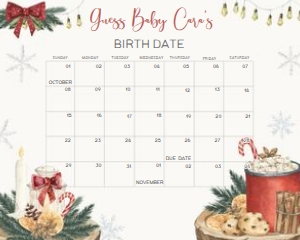 550 Santa Baby Baby Shower Calendar 20x16: 550 Santa Baby Baby Shower Calendar