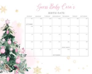 552 Pink A Little Bundle of Joy Tree Baby Shower Calendar 10x8: 552 Pink A Little Bundle of Joy Tree Baby Shower Calendar