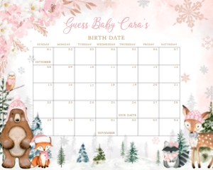558 Pink Winter Woodland Animals Baby Shower Calendar 10x8: 558 Pink Winter Woodland Animals Baby Shower Calendar