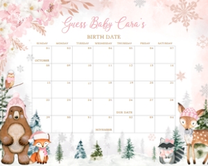 558 Pink Winter Woodland Animals Baby Shower Calendar 20x16: 558 Pink Winter Woodland Animals Baby Shower Calendar