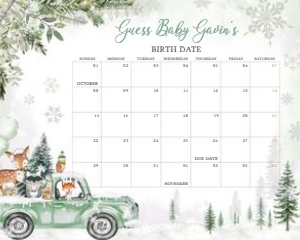 562 Green Winter Woodland Truck Baby Shower Calendar 20x16: 562 Green Winter Woodland Truck Baby Shower Calendar