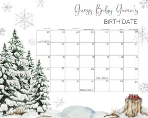 572 Baby It's Cold Outside Tree Baby Shower Calendar 10x8: 572 Baby It's Cold Outside Tree Baby Shower Calendar