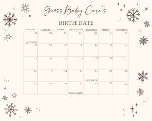 579 Brown White Baby it's Cold Outside Baby Shower Calendar 20x16: 579 Brown White Baby it's Cold Outside Baby Shower Calendar