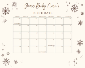 579 Brown White Baby it's Cold Outside Baby Shower Calendar 10x8: 579 Brown White Baby it's Cold Outside Baby Shower Calendar