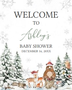 582 Silver Winter Wonderland Baby Shower Welcome Sign 16x20: 582 Silver Winter Wonderland Baby Shower Welcome Sign