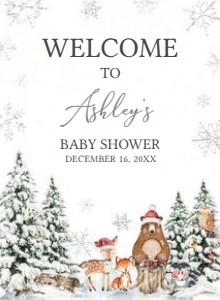 582 Silver Winter Wonderland Baby Shower Welcome Sign 11x15: 582 Silver Winter Wonderland Baby Shower Welcome Sign