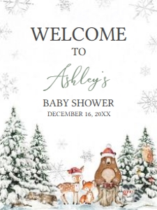 582 Silver Winter Wonderland Baby Shower Welcome Sign 18x24: 582 Silver Winter Wonderland Baby Shower Welcome Sign