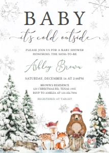 582 Silver Winter Wonderland Baby Shower Invitation: 582 Silver Winter Wonderland Baby Shower Invitation Set