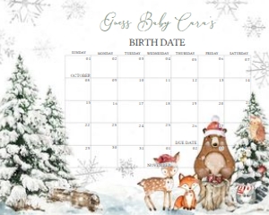 582 Silver Winter Wonderland Baby Shower Calendar 20x16: 582 Silver Winter Wonderland Baby Shower Calendar