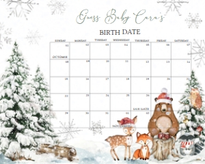 582 Silver Winter Wonderland Baby Shower Calendar 10x8: 582 Silver Winter Wonderland Baby Shower Calendar