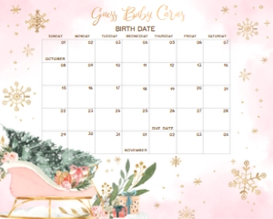 583 Pink Baby It's Cold Outside Sleigh Baby Shower Calendar 20x16: 583 Pink Baby It's Cold Outside Sleigh Baby Shower Calendar