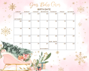 583 Pink Baby It's Cold Outside Sleigh Baby Shower Calendar 10x8: 583 Pink Baby It's Cold Outside Sleigh Baby Shower Calendar