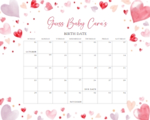 587 Valentine Baby Shower Calendar 20x16: 587 Valentine Baby Shower Calendar