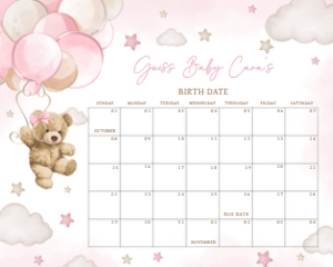 599 Pink Balloon Bear Baby Shower Calendar 10x8: 599 Pink Balloon Bear Baby Shower Calendar