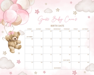 599 Pink Balloon Bear Baby Shower Calendar 20X16: 599 Pink Balloon Bear Baby Shower Calendar