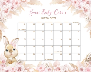 609 Boho Bunny Baby Baby Shower Calendar 10x8: 609 Boho Bunny Baby Shower Mega Bundle