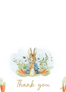 625 Blue Peter Rabbit Baby Shower Thank You Card: 625 Blue Peter Rabbit Baby Shower Invitation Set