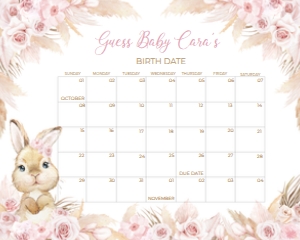 609 Boho Bunny Baby Baby Shower Calendar 20x16: 609 Boho Bunny Baby Shower Mega Bundle