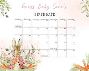 626 Pink Peter Rabbit Baby Shower Calendar 10x8: 626 Pink Peter Rabbit Baby Shower Calendar