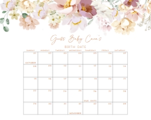 612 Baby in Bloom Florals Baby Shower Calendar 10x8: 612 Baby in Bloom Florals Baby Shower Calendar