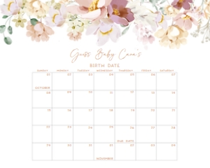 612 Baby in Bloom Florals Baby Shower Calendar 20x16: 612 Baby in Bloom Florals Baby Shower Calendar