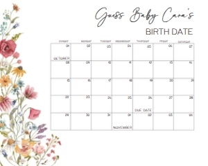 627 Spring Baby in Bloom Baby Shower Calendar 10x8: 627 Spring Baby in Bloom Baby Shower Calendar