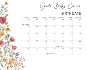 627 Spring Baby in Bloom Baby Shower Calendar 20x16: 627 Spring Baby in Bloom Baby Shower Calendar
