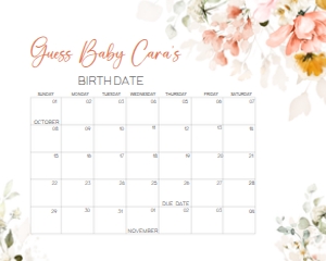 628 Spring Florals Oh Baby Baby Shower Calendar 20x16: 628 Spring Florals Oh Baby Baby Shower Calendar
