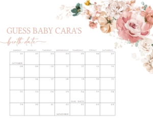614 Spring Flowers Baby in Bloom Baby Shower Calendar 10x8: 614 Spring Flowers Baby in Bloom Baby Shower Calendar