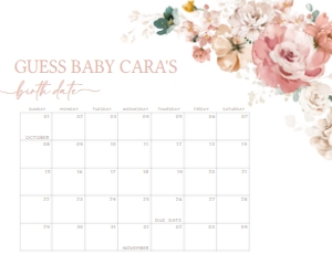 614 Spring Flowers Baby in Bloom Baby Shower Calendar 20X16: 614 Spring Flowers Baby in Bloom Baby Shower Calendar