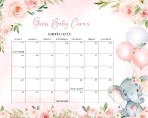 615 Pink Floral Balloon Elephant Baby Shower Calendar 10x8: 615 Pink Floral Balloon Elephant Baby Shower Calendar