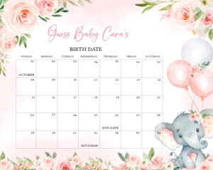 615 Pink Floral Balloon Elephant Baby Shower Calendar 20x16: 615 Pink Floral Balloon Elephant Baby Shower Calendar