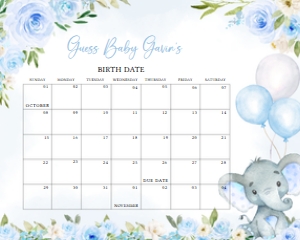 617 Blue Floral Balloon Elephant Baby Shower Calendar 10x8: 617 Blue Floral Balloon Elephant Baby Shower Calendar
