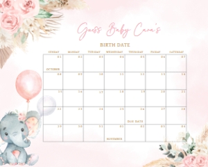 619 Pink Boho Balloon Elephant Baby Shower Calendar 10x8: 619 Pink Boho Balloon Elephant Baby Shower Calendar