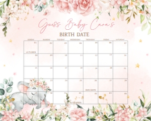 635 Pink Floral Sleeping Elephant Baby Shower Calendar 10x8: 635 Pink Floral Sleeping Elephant Baby Shower Calendar