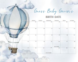 643 Adventure Awaits Hot Air Balloon Baby Shower Calendar 20x16: 643 Adventure Awaits Hot Air Balloon Baby Shower Calendar