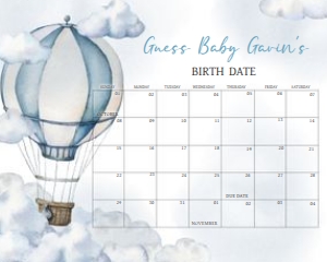 643 Adventure Awaits Hot Air Balloon Baby Shower Calendar 10x8: 643 Adventure Awaits Hot Air Balloon Baby Shower Calendar