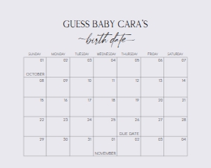 647 White Minimalist Baby Shower Calendar 10x8: 647 White Minimalist Baby Shower Calendar