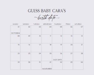 647 White Minimalist Baby Shower Calendar 20x16: 647 White Minimalist Baby Shower Calendar