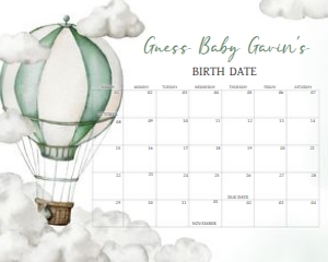 646 Green Adventure Awaits Hot Air Balloon Baby Shower Calendar 20x16: 646 Green Adventure Awaits Hot Air Balloon Baby Shower Calendar