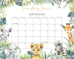 648 Jungle Safari Wild One Baby Shower Calendar 10x8: 648 Jungle Safari Wild One Baby Shower Calendar