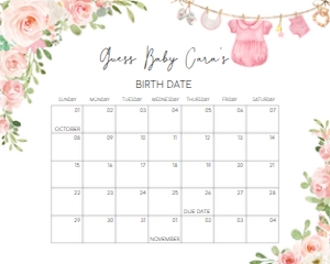 649 Baby Girl Clothes Baby Shower Calendar 10x8: 649 Baby Girl Clothes Baby Shower Calendar