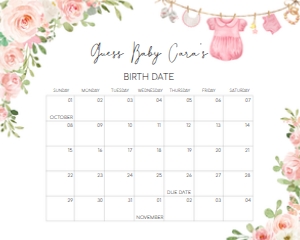 649 Baby Girl Clothes Baby Shower Calendar 20x16: 649 Baby Girl Clothes Baby Shower Calendar