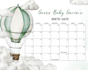 646 Green Adventure Awaits Hot Air Balloon Baby Shower Calendar 10x8: 646 Green Adventure Awaits Hot Air Balloon Baby Shower Calendar