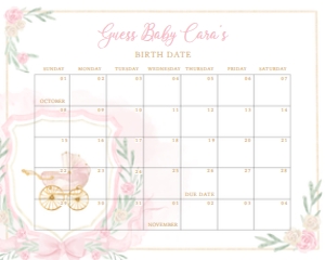 658 Pink Gold Carriage Crest Baby Shower Calendar 10x8: 658 Pink Gold Carriage Crest Baby Shower Calendar