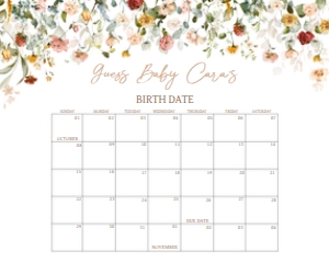 659 Baby in Bloom Baby Shower Calendar 10x8: 659 Baby in Bloom Baby Shower Calendar