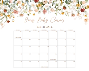 659 Baby in Bloom Baby Shower Calendar 20x16: 659 Baby in Bloom Baby Shower Calendar