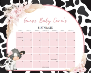 662 Girl Holy Cow Baby Shower Calendar 10x8: 662 Girl Holy Cow Baby Shower Mega Bundle